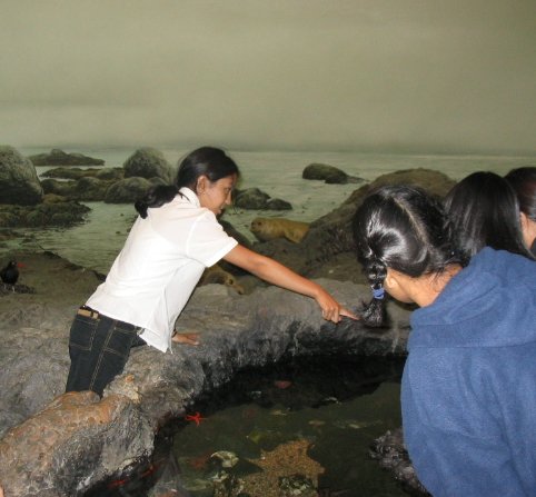 Museum 02.jpg